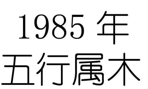 1985Ќʲô1985ʲô