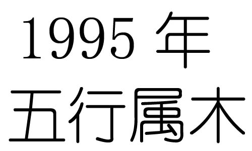 1995Ќʲô1995ʲô