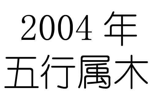 2004Ќʲô2004ʲô