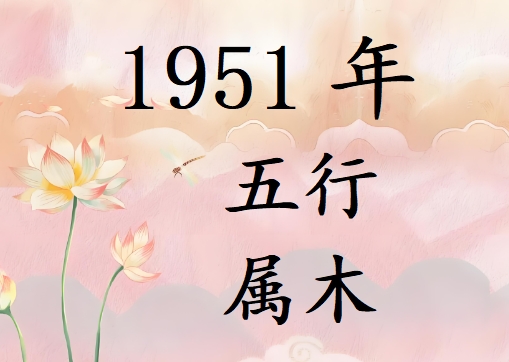 1951Ќʲô1951ʲô