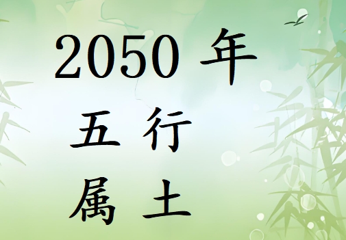 2050Ќʲô2050ʲô